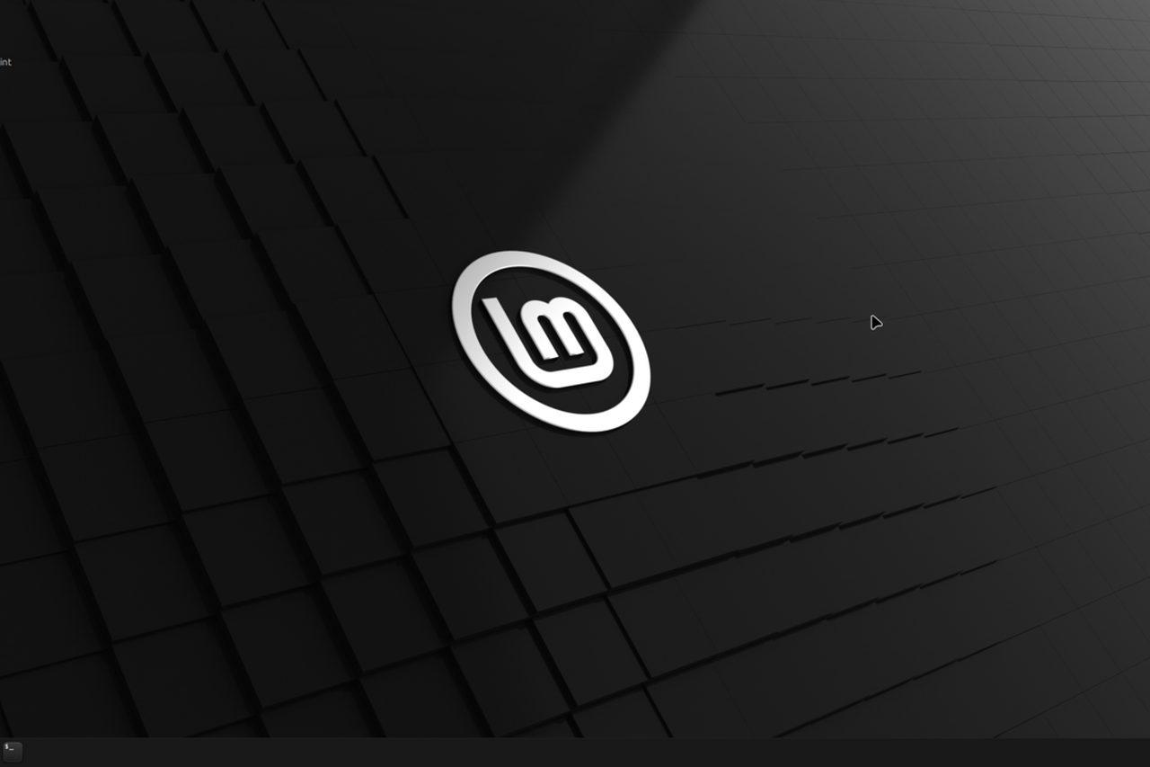 The Linux Mint desktop logo on a dark background